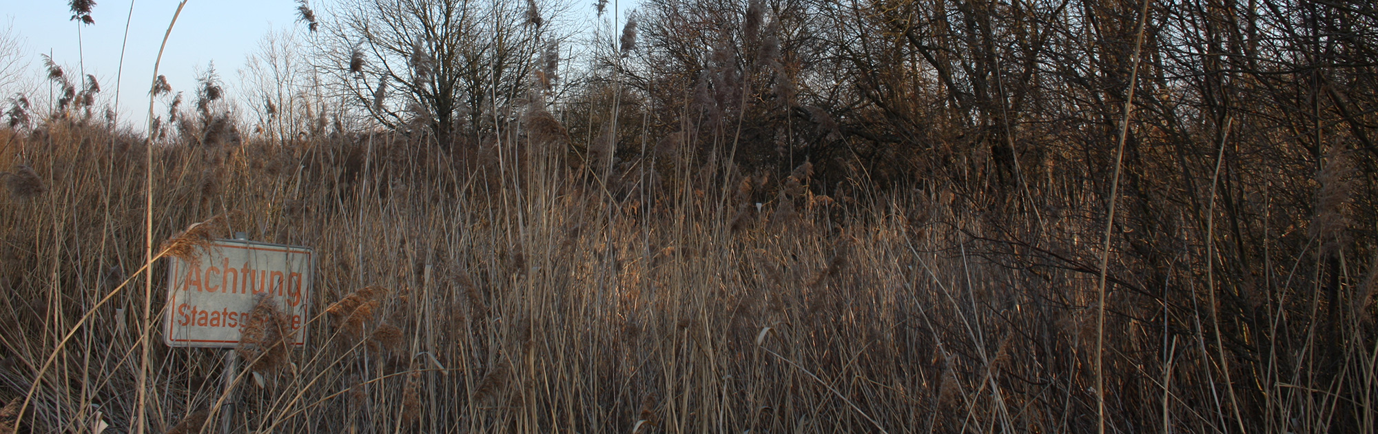 Symbolbild: Graslandschaft - WILD(es) Bundesland Burgenland, WILD ÖSTERREICH informiert