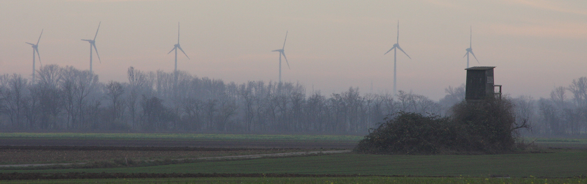 Symbolbild: Windräder und Hochstand - WILD(es) Bundesland Burgenland, WILD ÖSTERREICH informiert