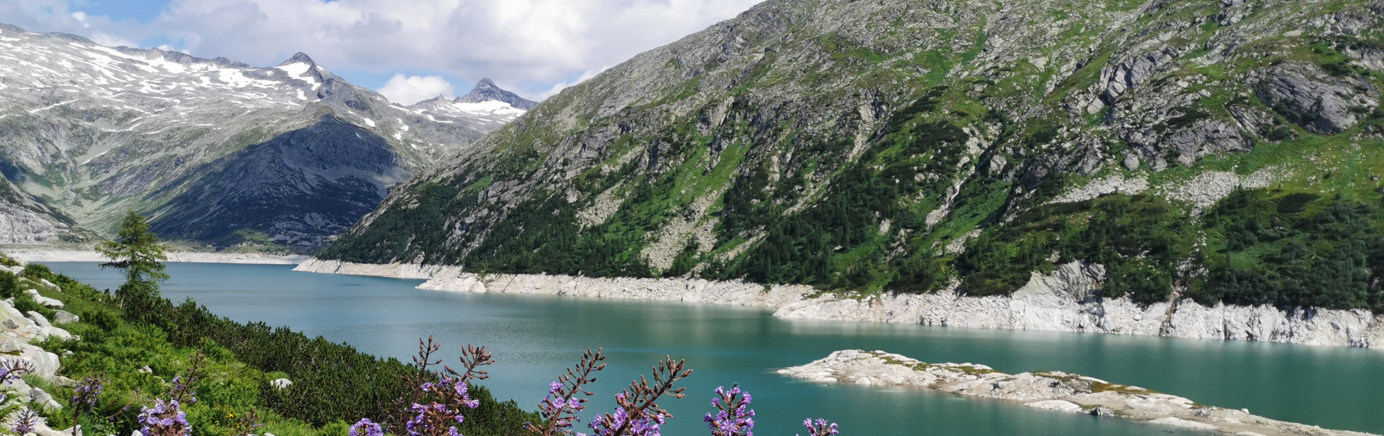 Symbolfoto See und Berge - WILD(es) Kärnten - WILD ÖSTERREICH informiert