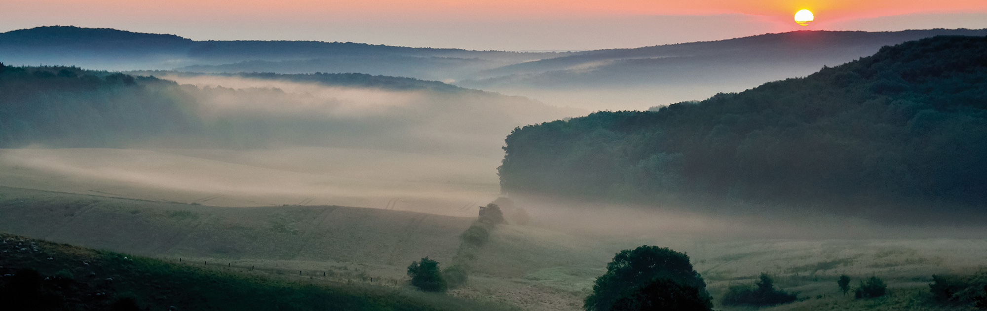 Symbolbild Abenddämmerung - WILD(es) Bundesland Niederösterreich - WILD ÖSTERREICH informiert