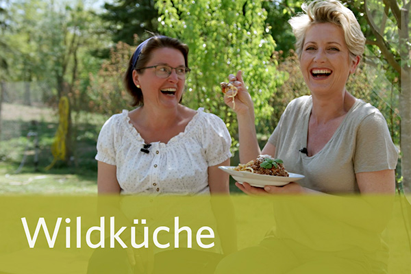 Wildbret in Niederösterreich