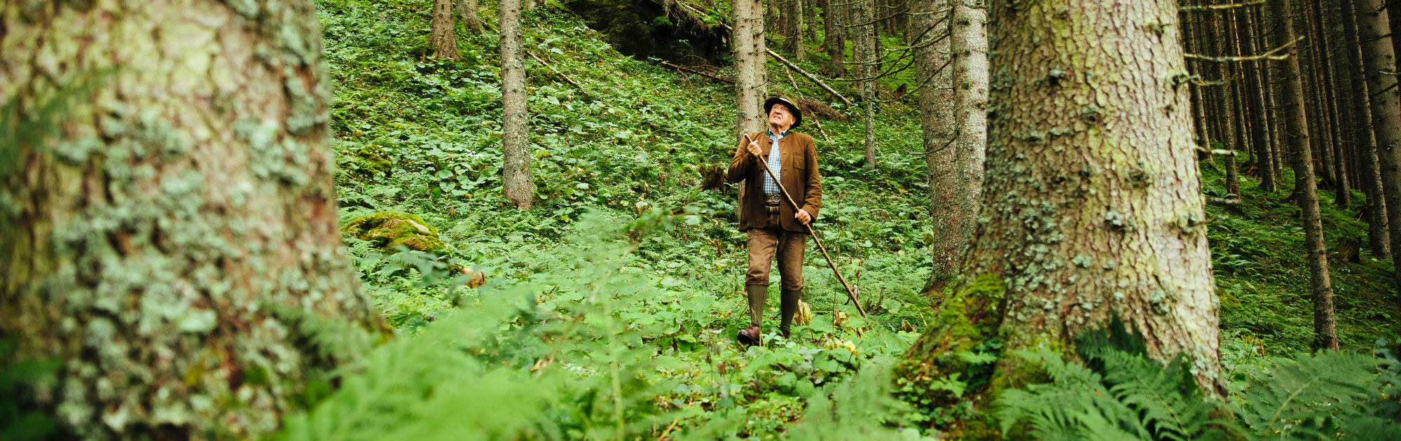 Symbolbild: Jäger im Wald, WILD(es) Bundesland Salzburg - WILD ÖSTERREICH informiert