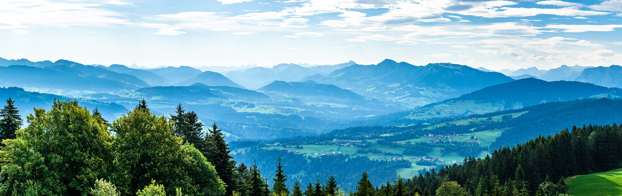 Wildbret in Vorarlberg - wild-oesterreich.at