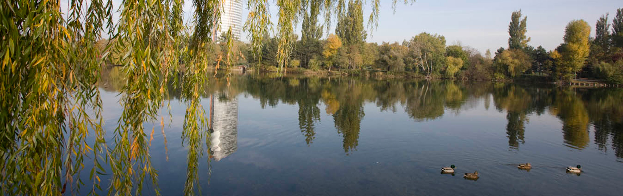 Symbolbild: WILDes Wien, alte Donau WILD ÖSTERREICH