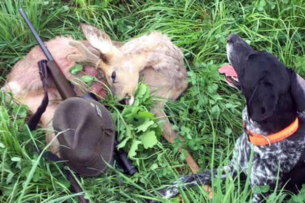 Gewinnung von Wildbret als Handwerk des Jägers: WILD ÖSTERREICH informiert