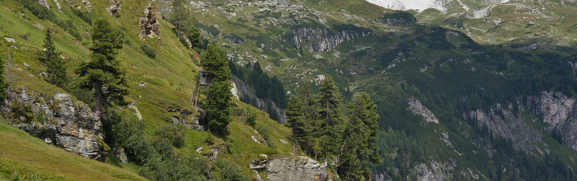 Symbolbild Berglandschaft mit Hochstand - WILD ÖSTERREICH, Wildes Bundesland Steiermark