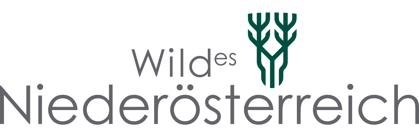 Wildbret in Niederösterreich, Wildes Österreich.at