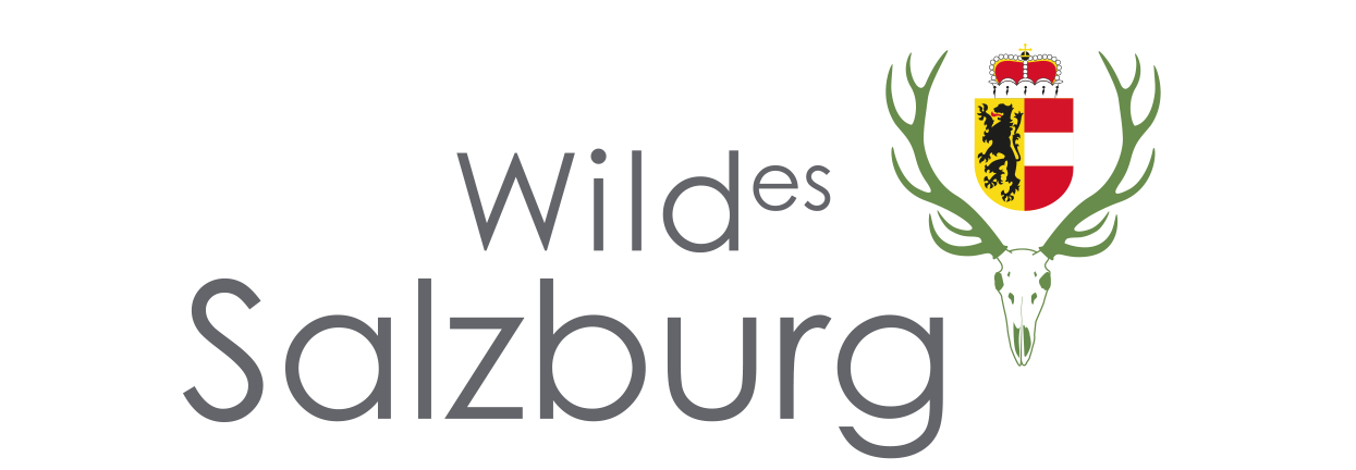 Logo: Wild(es) Salzburg