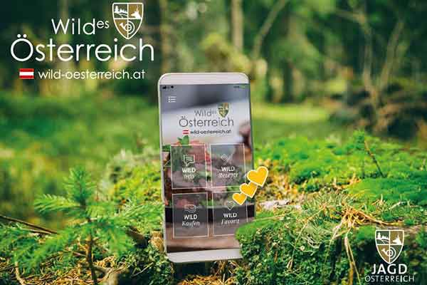 Postkarten WILD ÖSTERREICH - Produkte zur Wildbretvermarktung