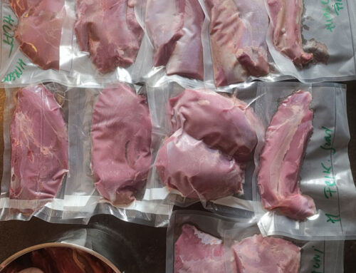 Wildfleisch richtig einfrieren