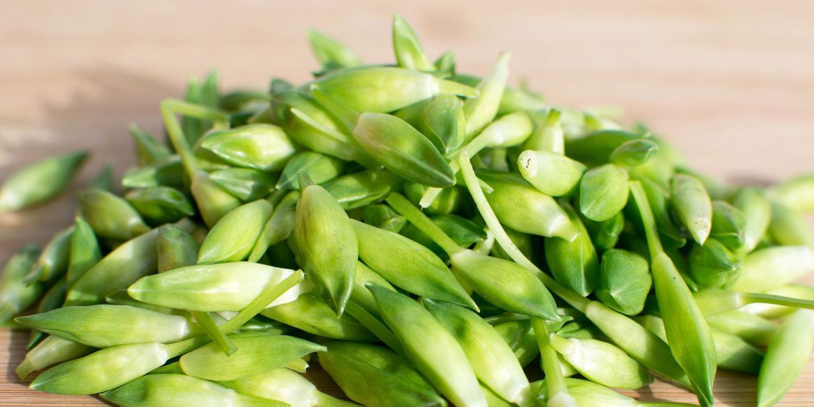 Geröstete Rehnieren