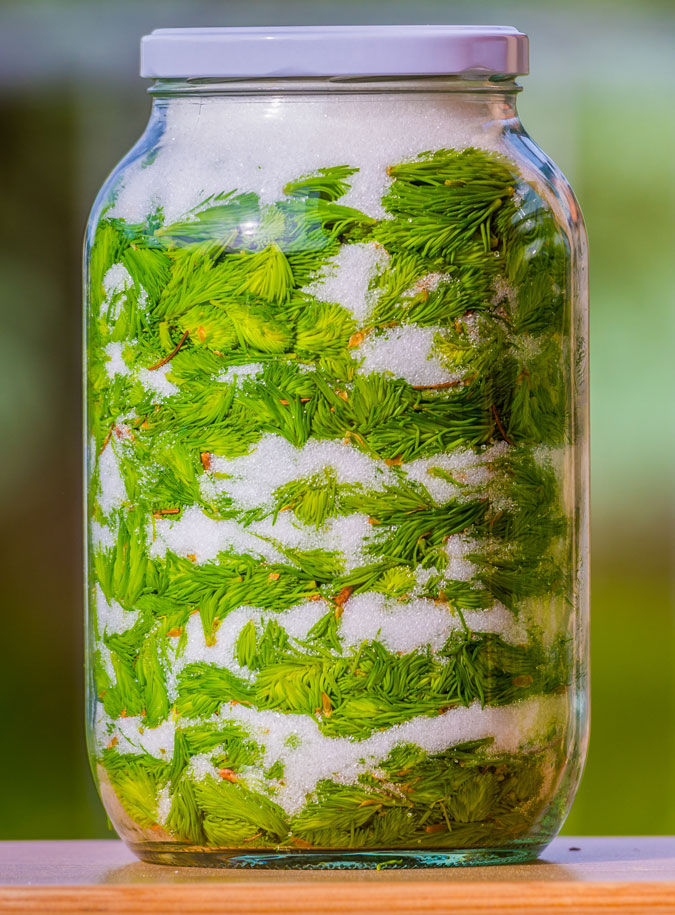 Maiwipferlsalz - WILD ÖSTERREICH informiert